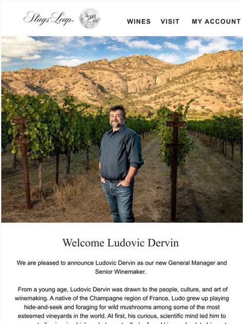 Ludovic Dervin Winemaker - Stags