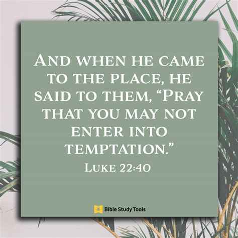Luke 22 amplified. Jesus Is the Vine—Followers Are Branches. 15 “[ a]I am the true Vine, and My Father is the vinedresser. 2 Every branch in Me that does not bear fruit, He takes away; and every branch that continues to bear fruit, He [repeatedly] prunes, so that it will bear more fruit [even richer and finer fruit]. 3 You are already clean because of the ... 