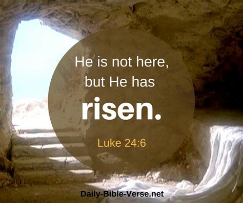 Luke 24 NIV - Jesus Has Risen - On the first day of - Bible Gateway