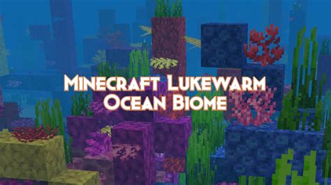 Lukewarm Ocean in Minecraft