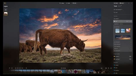 Luminar Neo instructions