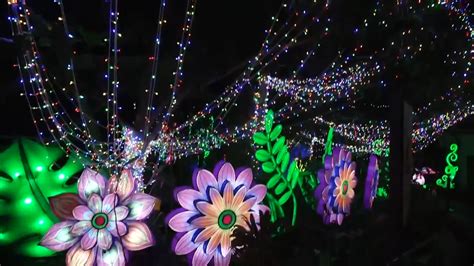 Luminosa at Jungle Island returns after 4 years to light up your world with art