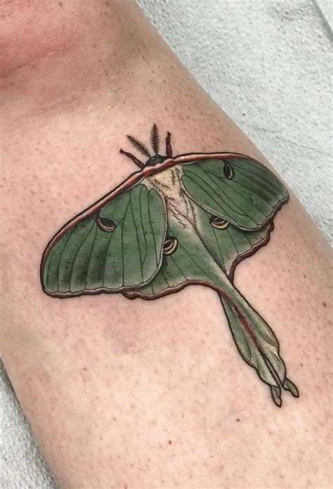 Tattoo luna moth spiritual meaning · Beauty and grace: Because the moth looks beautiful, it makes people feel amazed by its appearance. · Transformation and new .... Luna moth tattoo meaning