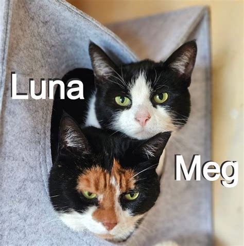 💋 Luna.Meg Onlyfans Leak (SEX) 210 Photos