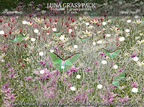 Luna_Grass Onlyfans Leak XXX 💋 243 Photos