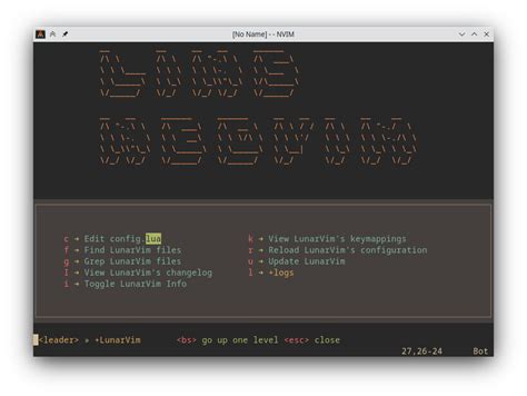 Lunarvim package manager.  <leader>Lu using WhichKey.  npm makes it easy for developer...