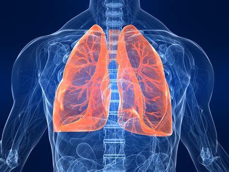 Lung; cat No. 1. Diffuse, severe bronchointerstitial pattern