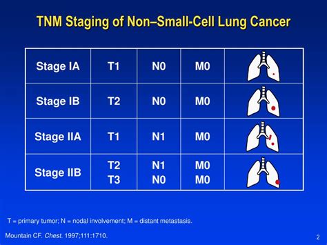 Lung Cancer Stages Staging Small Cell and Non-Small Cell Lung …