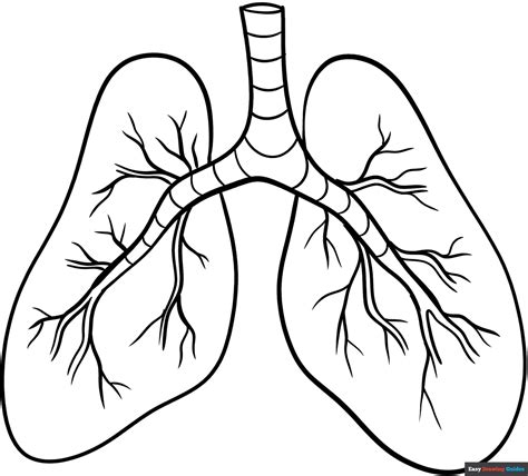Lungs Coloring