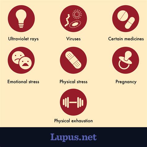 Lupus Triggers and Flares