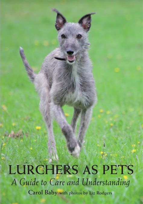 Lurchers as pets a guide to care and understanding. - Owners manual for emerson electric motors.