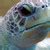 Lustfulturtle Onlyfans Leaked XxX 163 Videos