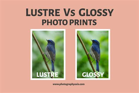Lustre vs glossy. Glossy | ehow. Luster Finish Vs. Glossy. Lustre finish provides a soft texture to photographs. When printing or purchasing photographs, there are various paper and coating options. Glossy photos are shiny and smooth while matte photos are dull and textured. A luster finish -- more commonly spelled "lustre" -- is in between the two, … 