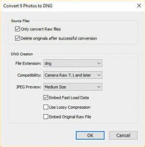 Lut to dng converter.  Convert a raw photo in Capture One to DNG. .  Convert yo...