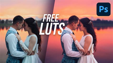 LUT Generator is an excellent tool for creating color-grading picture and video presets. This powerful LUT generator-free tool is available on both Windows and Mac. Moreover, you can create LUTs from any photo and video editing application, including Lightroom and Camera Raw.. 