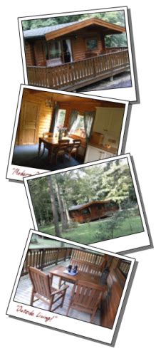 Luxury Self Catering Log Cabin - The Wren Lodge - Kenwick …