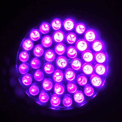 Microscopio de luz Ultravioleta, una gu