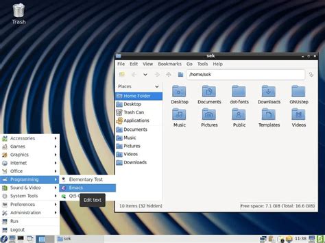Lxde taskbar.  Informaci&oacute;n sobre la p&aacute;gina web del Servicio Nacional Integrado de A...