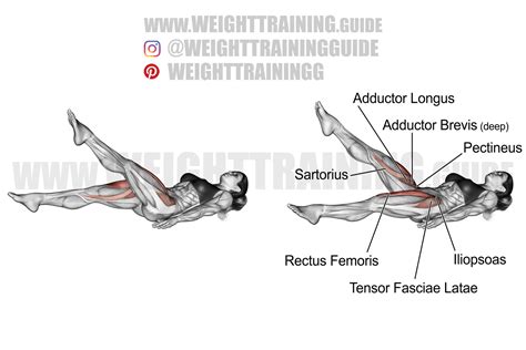 Lying Scissor Kick Exercise Guide - fitstop24.com