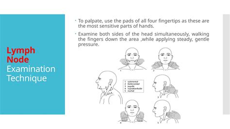 Lymph node examination ppt.  Draw pictures if appropriate.  This document discusses exa...