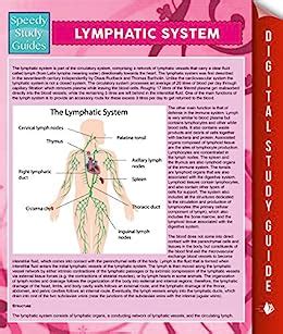 Full Download Lymphatic System Speedy Study Guides By Speedy Publishing