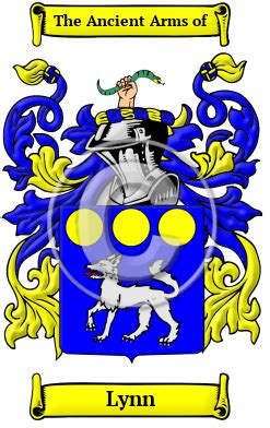 Lynn Name Meaning, Family History, Family Crest & Coats of Arms