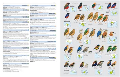 Lynx-BirdLife Taxonomic Checklist Page 11 BirdForum