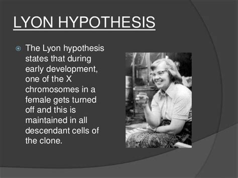 Lyon hipotezi