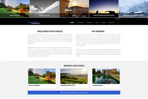 Lyons Den Design Alex Lyons Web Design & Wordpress Consulting