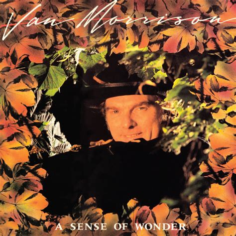 Lyrics containing the term: sense of wonder