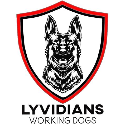 Lyvidians Working Dogs, Redditch (2024) - findglocal.com