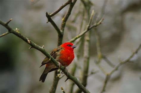 München - Bird & Bird