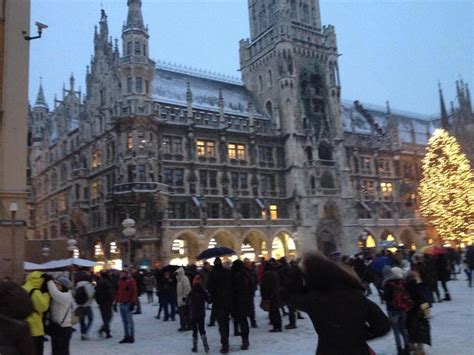 codini.rgarabwor.edu.pl. 