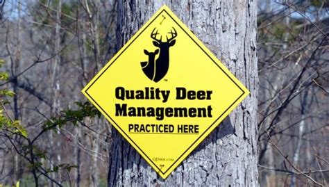 M I N U T E S - Deer Management