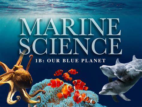 M.S. Marine Science & Oceanography | Florida Atlantic … - raincitystudios.com