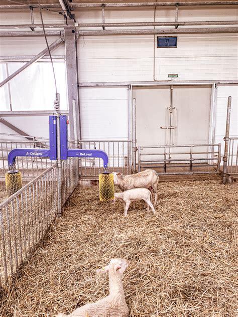 M2-FARM #5 BÜYÜLÜ ORMANA NASIL GİDİLİR? BÜYÜLÜ. 