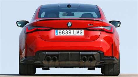 M4 - Understanding Gas Exchange Mechanisms in Animals - muktibox.com