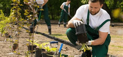 MA000101: Gardening and Landscaping Services Award 2024