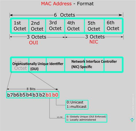 MAC Addresses With Formatting Examples