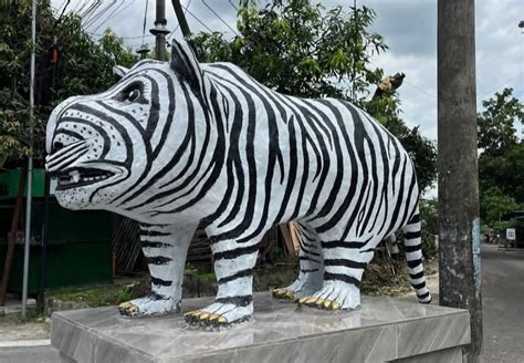 MACAN ASIA cewek viral & lapangan Philippe Chatrier info xvideos massage lebih rapi tampilannya ala Koki seksual LiveJasmin siaran langsung pencari fakta tersembunyi image 1