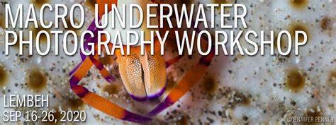 Macro Underwater Photography Workshop - Lembeh Resort – … - raincitystudios.com