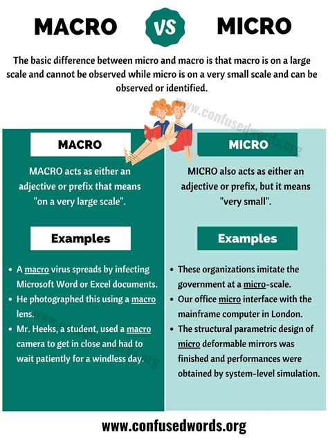 MACRO vs MICRO: What