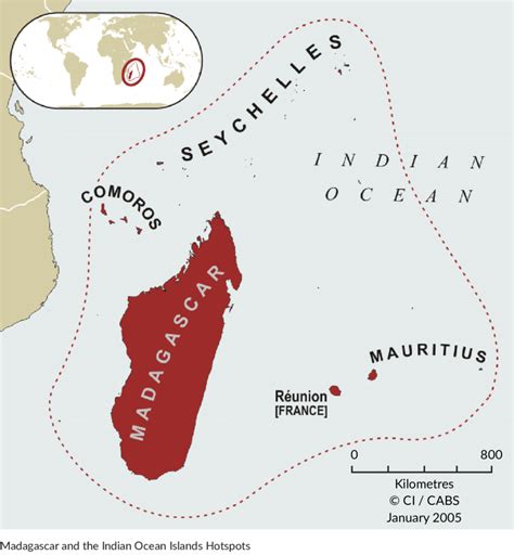 Madagascar and Indian Ocean Islands - Species - CEPF - raincitystudios.com