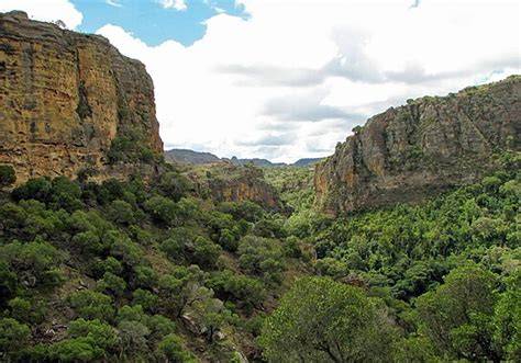 Madagascar subhumid forests - raincitystudios.com