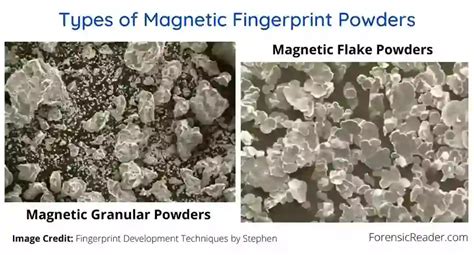 Magnetic Powders: Types, Principle, Fingerprint … - wintechmobiles.com
