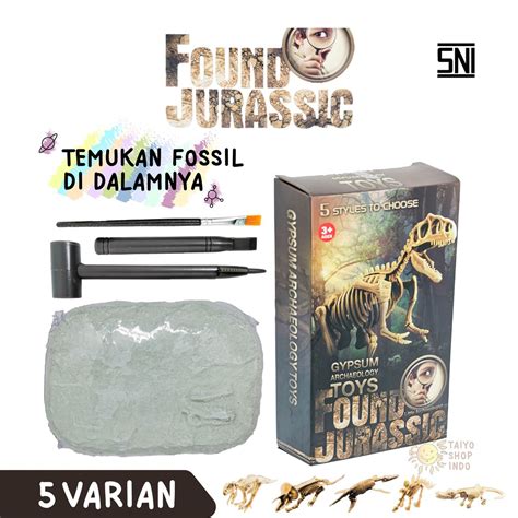 Mainan Anak Dinosaurus Gypsum Archaeology Fossil - wintechmobiles.com