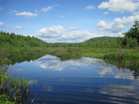 Maine State Wetland Program Summary - wintechmobiles.com
