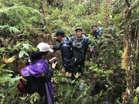 Mainstreaming CBFM as part of the PH climate change … - raincitystudios.com