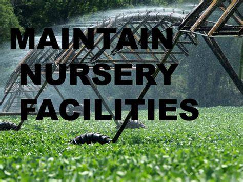MAINTAIN NURSERY FACILITIES.pptx - SlideShare - raincitystudios.com