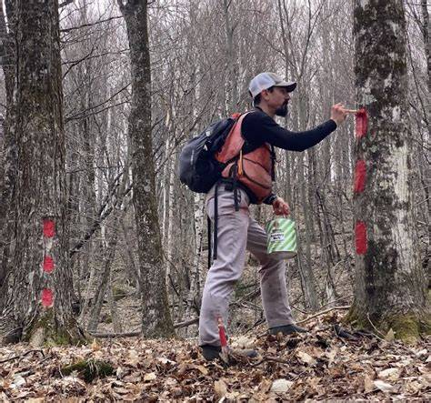 Maintaining Forest Property Boundaries - NC State … - raincitystudios.com
